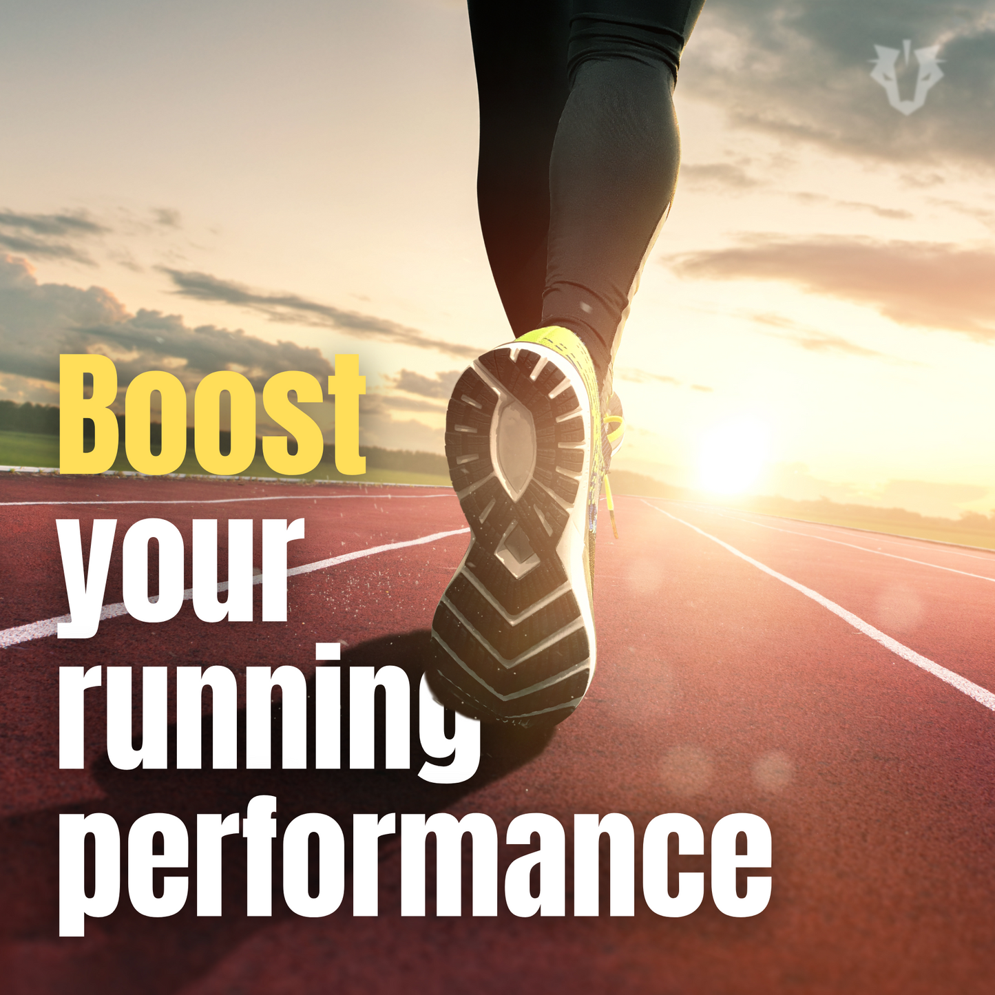 Carbon Fiber Insoles | Half Midsole