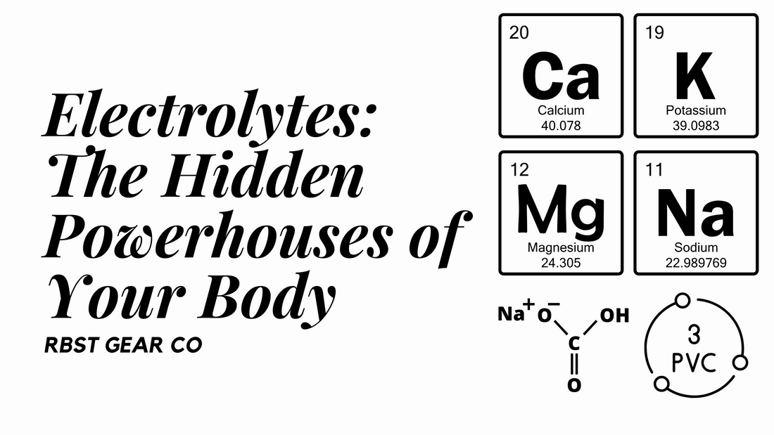 Sodium (Na+) Potassium (K+) Calcium (Ca2+) Magnesium (Mg2+) Chloride (Cl-) Bicarbonate (HCO3-)