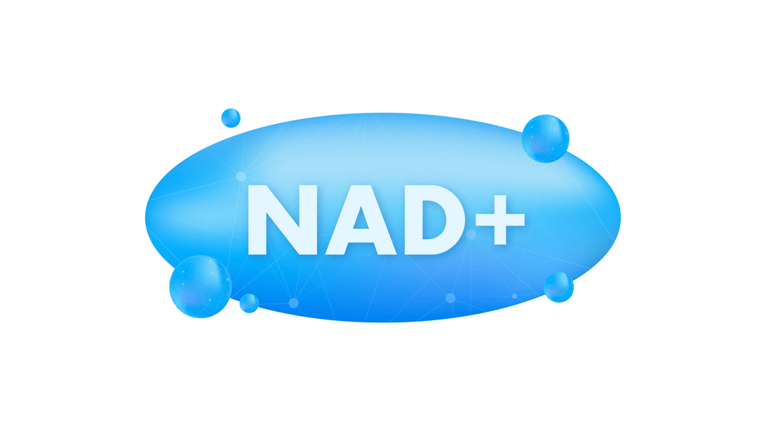 The Hidden Power of NAD+: Unlocking Your Body’s Potential - RBST GEAR CO.